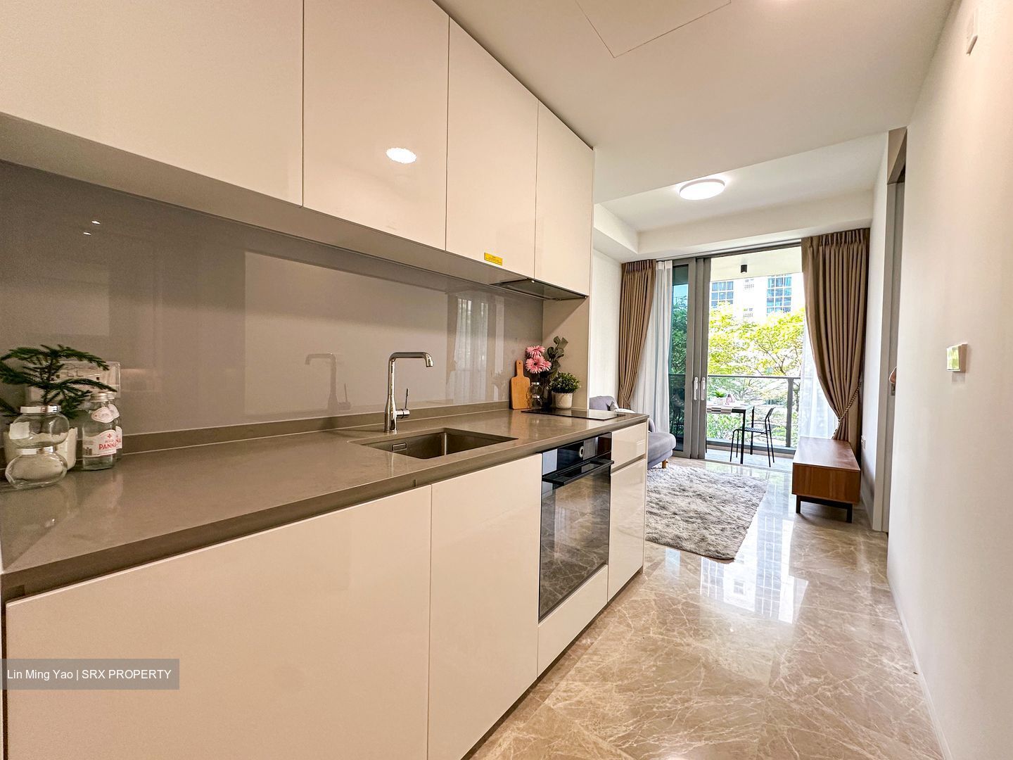 Amber Park (D15), Condominium #545452431